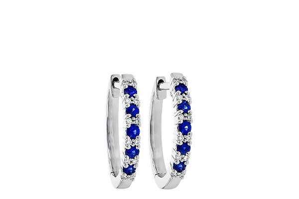 A236-22700: EARR .24 SAPP .30 TGW