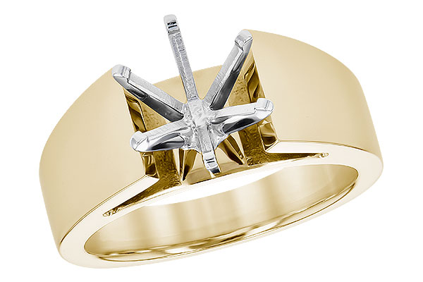 D318-98173: LDS SEMI RG