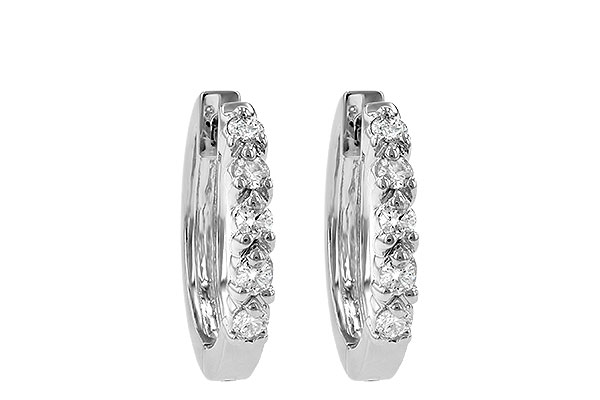 H231-67191: EARRINGS .25 TW