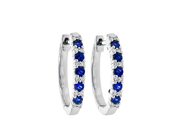 K236-22691: EARR .45 SAPP .55 TGW